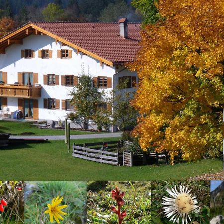 Ferienwohnungen Hennenmuehle Bad Hindelang Extérieur photo