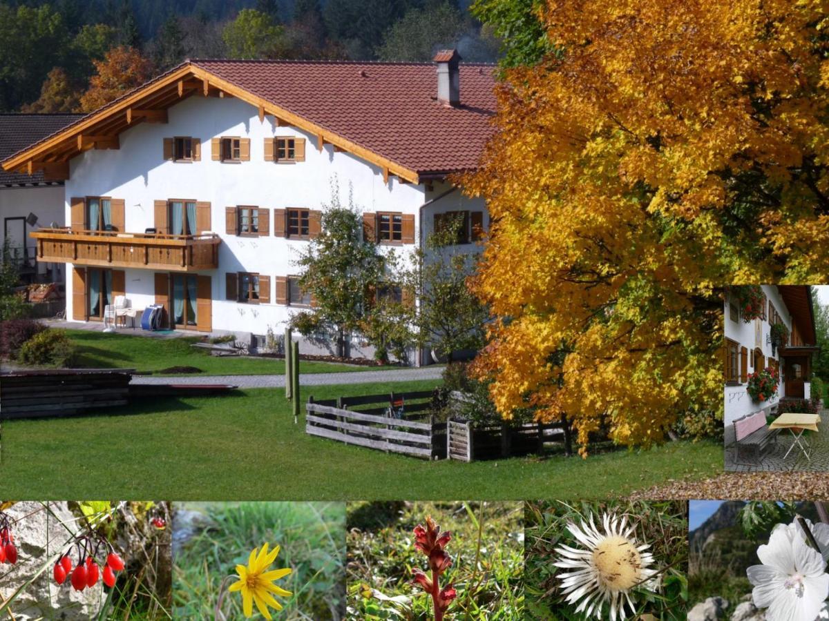 Ferienwohnungen Hennenmuehle Bad Hindelang Extérieur photo